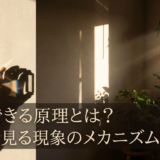 影ができる原理とは？日常で見る現象のメカニズムを解説
