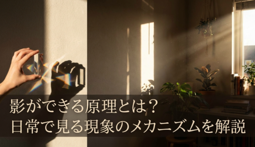 影ができる原理とは？日常で見る現象のメカニズムを解説